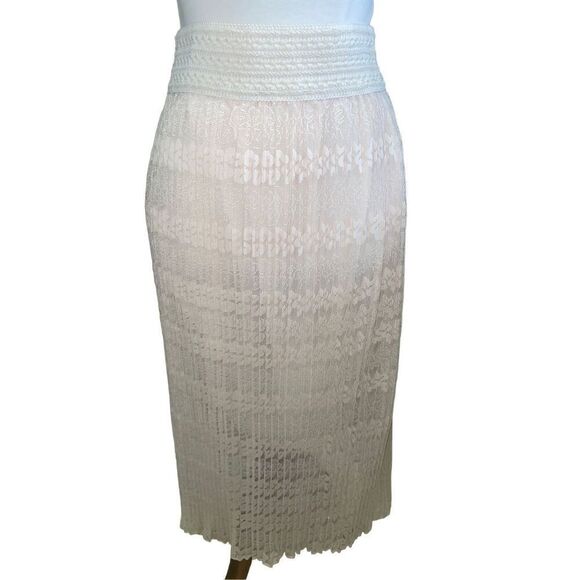 Channa Champagne Lace Fully Lined Pleated Midi/Maxi Skirt NWOT - Picture 2 of 16